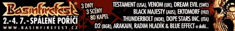 Basinfirefest